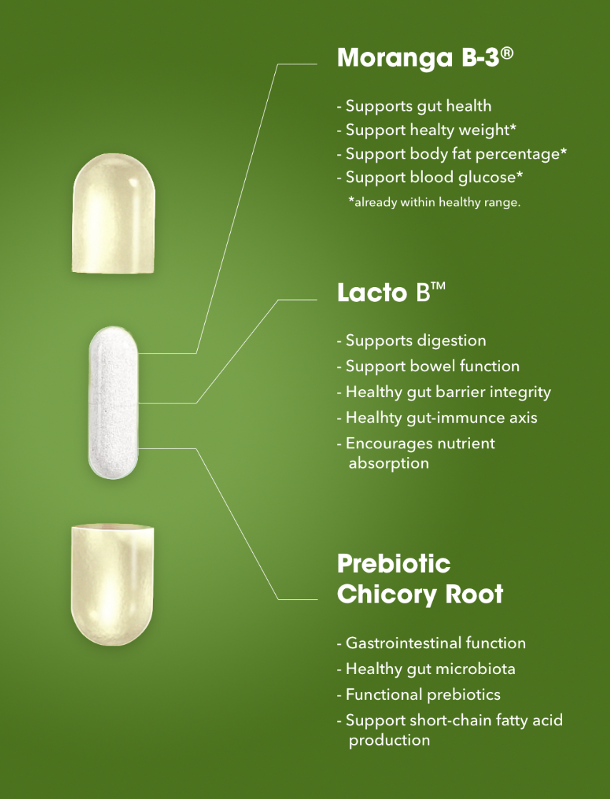 L-Biome for Providers